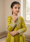 Kids Olive Embroidered Anarkali Frock