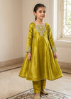 Kids Olive Embroidered Anarkali Frock