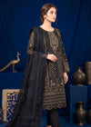 Shaam-e-Noor Black Organza – Embroidered 3 PC
