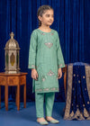 Embroidered Sea Green Cambric Kurta Set for Girls