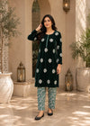 Dark Green – Luxury Velvet 2PC Kurta