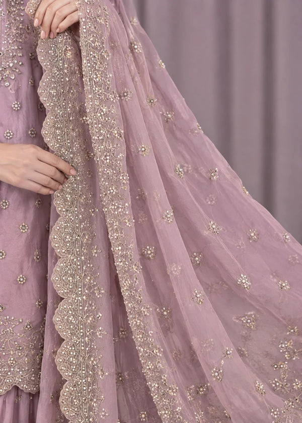 Rang-o-Noor — Gulabi Noor Tea Pink Festive Gharara