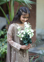 Little Brown Noor – Embroidered Chiffon Kids Kurta 3PC