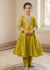 Kids Olive Embroidered Anarkali Frock