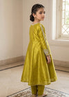 Kids Olive Embroidered Anarkali Frock