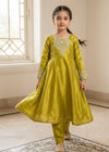 Kids Olive Embroidered Anarkali Frock