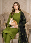 Elegant Olive Green Embroidered Kurta Set with Navy Blue Chiffon Dupatta