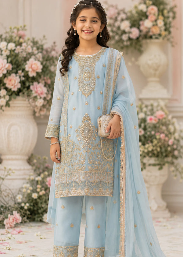 Sky Veil – Sky Blue Luxury Embroidered Chiffon Kurta Set with Embroidered Trouser