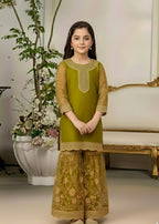 Olive Rosette – Organza Ghara Outfit
