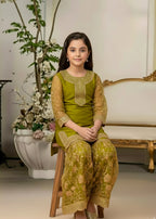 Olive Rosette – Organza Ghara Outfit